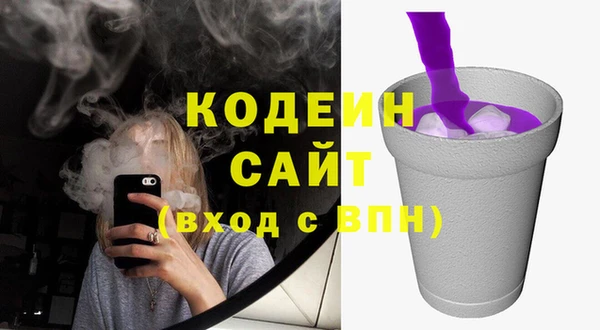винт Анива