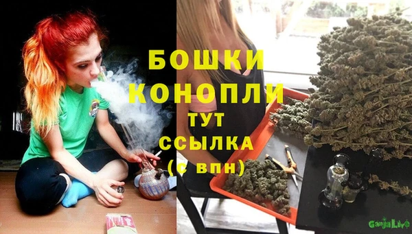 PSILOCYBIN Нефтегорск