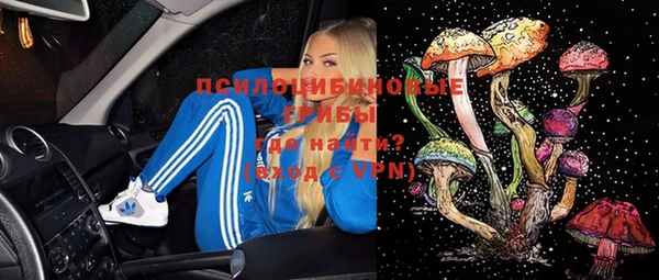 ПСИЛОЦИБИНОВЫЕ ГРИБЫ Абинск