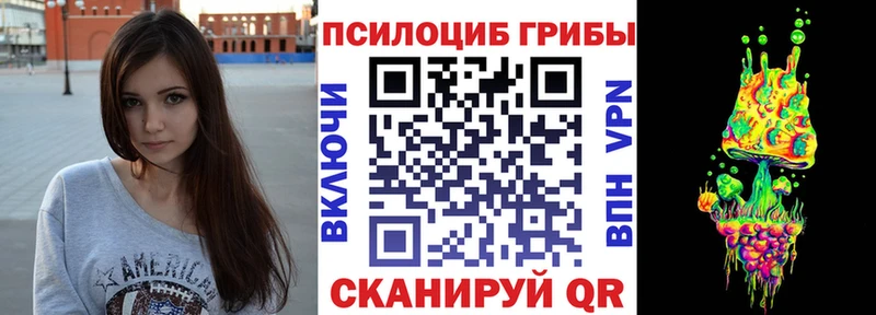Галлюциногенные грибы Psilocybine cubensis  даркнет сайт  Яранск 